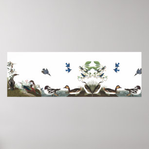 Audubon Collage Oiseaux Animaux Animaux Poster 1
