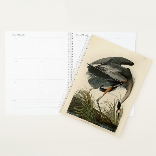 Audubon Great Blue Heron Marsh Bird (Devant avec enveloppe)