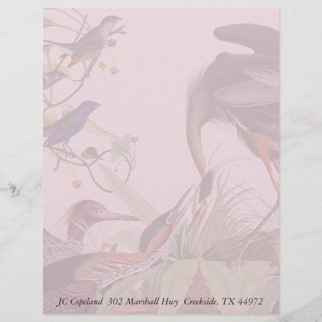 Audubon Heron Birds Collections Papier à lettres (Devant)