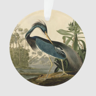 Audubon Héron de Louisiane Oiseaux Amérique Art