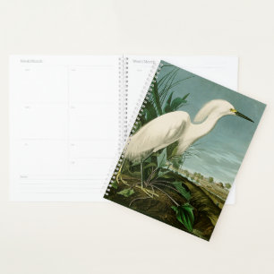 Audubon Héron de neige Oiseaux d'aigrettes blanche