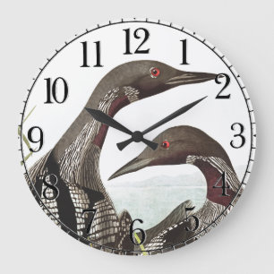 Audubon Loon Diver Oiseaux Animal Mur Horloge