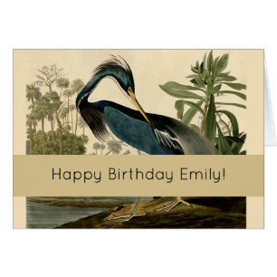 Audubon Louisiana Heron Birds America Art