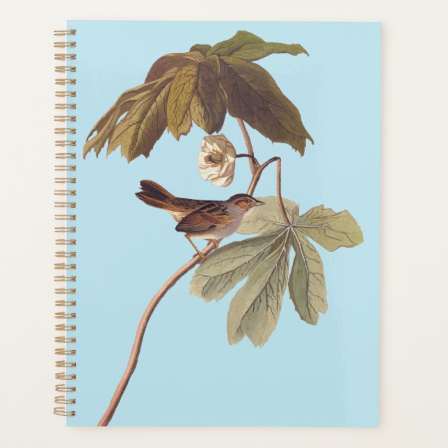 Audubon Oiseau de Bruant sur Mandrake sauvage (Devant)