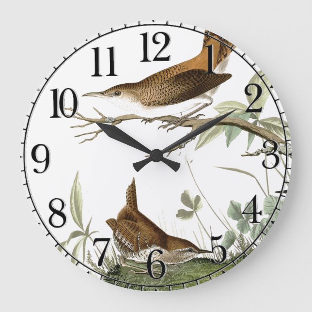 Audubon Oiseaux Wren Animaux Faune Horloge murale (Recto)