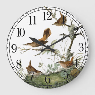 Audubon Oiseaux Wren Faune Animal Mur Horloge