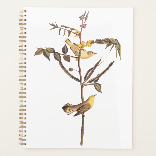 Audubon Paruline pour enfants Songbird (Devant)