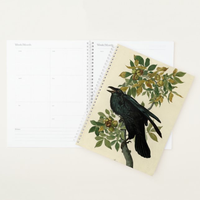 Audubon Raven Oiseau classique (Devant avec enveloppe)