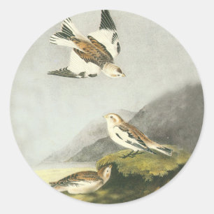 Audubon Snow Bund'Oiseaux Art Stickers