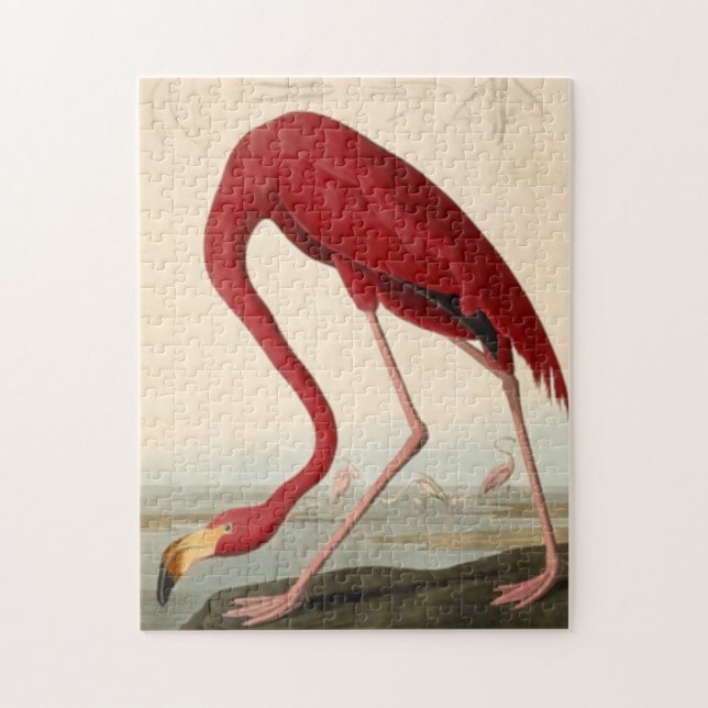 Audubon's Red Flamant rose Jigsaw Puzzle Puzzle (Vertical)