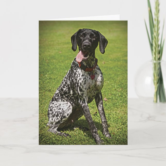 Augie carte de remerciements (Devant)