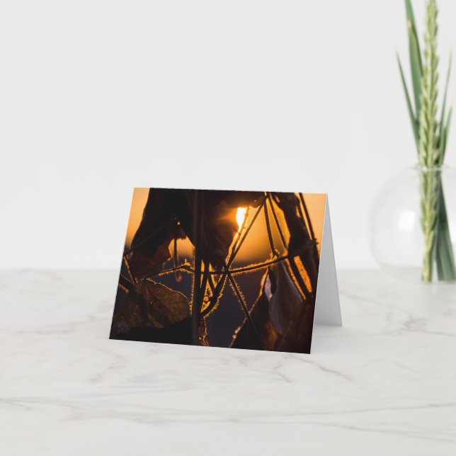 Augmentation de la neige (Devant)