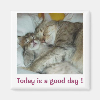 Aujourd'hui est une bonne journée ! Magnet de chat