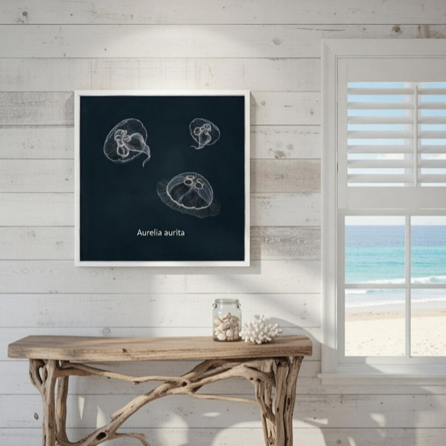 Aurelia aurita Poster éducatif (Créateur téléchargé)