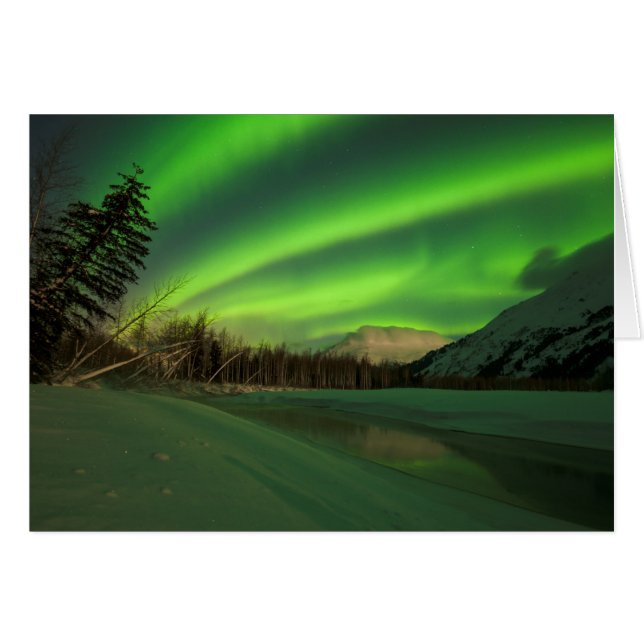 Aurora à bande (Devant Horizontal)