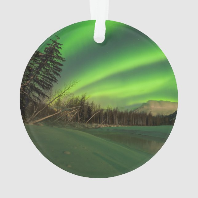 Aurora à bande (dos)