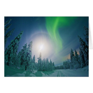 Aurora Borealis