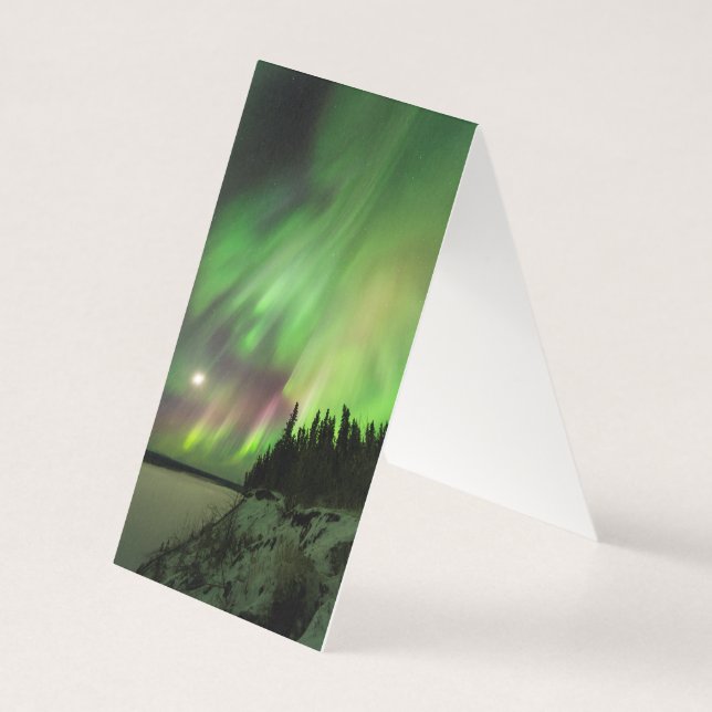 Aurora explosif (Back)
