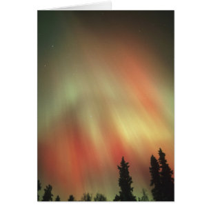Aurore Boréale, Lumières du Nord, Fairbanks