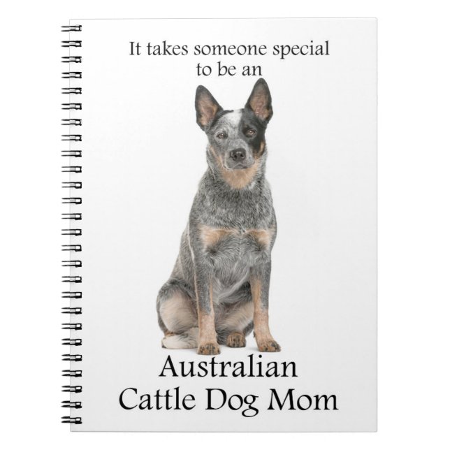 Australian Cattle Chien Maman Carnet (Devant)