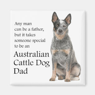 Australian Cattle Chien Papa Magnet