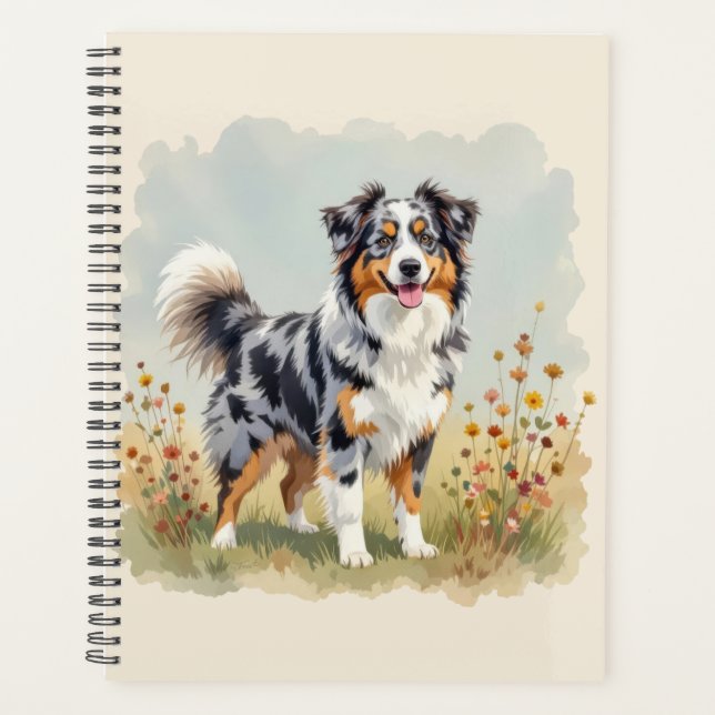 Australian Shepherd Dog Merle Long Tail (Devant)