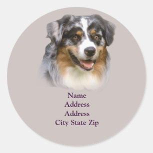 Australian Shepherd Étiquette de adresse fabuleux