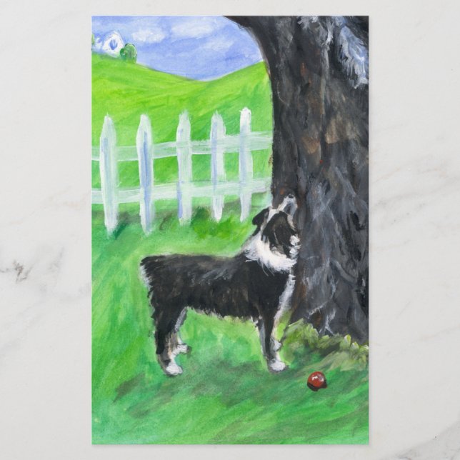 Australian Shepherd voit un écureuil (Devant)