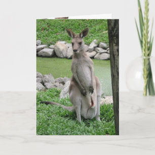 Australie Beckons - Carte d'anniversaire Kangaroo