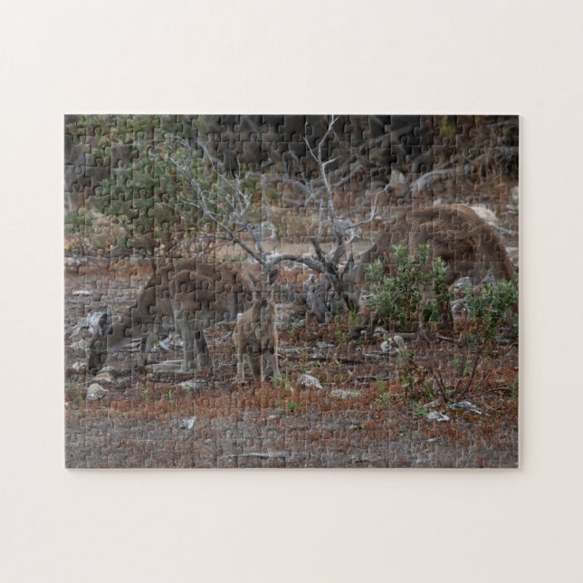 Australie Kangaroo Kids Jigsaw Puzzle (Horizontal)