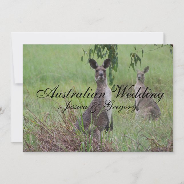 Australie Outback Kangaroos Mariage Invitations (Devant)
