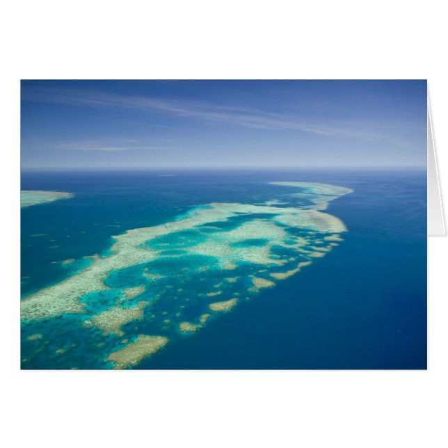 Australie, Queensland, côte nord, Cairns 2 (Devant horizontal)