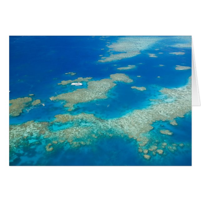 Australie, Queensland, côte nord, Cairns 3 (Devant horizontal)