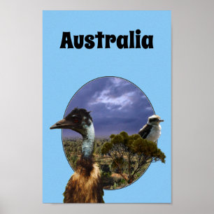 Australien Kookaburra Et Emu, Poster