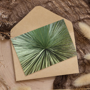 Australien Plante - abstrait