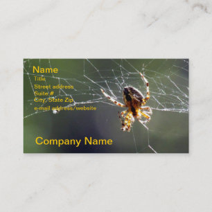 Autobus. Carte - araignée sur le Web