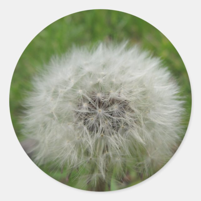 autocollant (Devant)