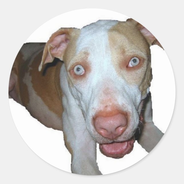 autocollant à bulle aux yeux bleus (Devant)