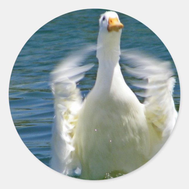 autocollant à cliquet de canard (Devant)