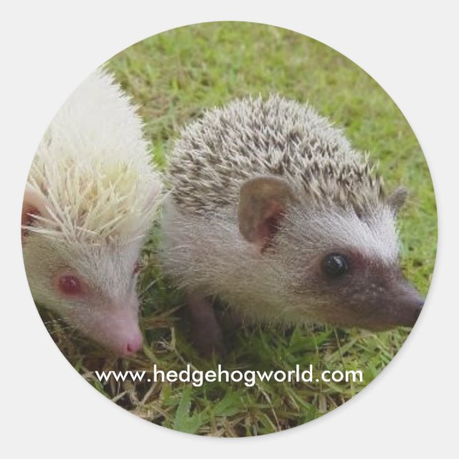 Autocollant à deux cuties (Devant)