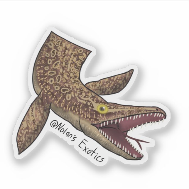 Autocollant Ackie monitor-Mosasaurus (Devant)