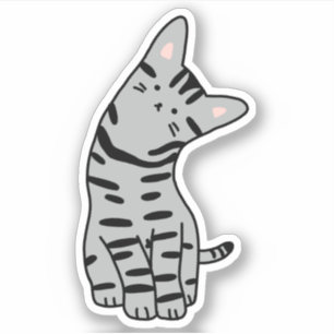Autocollant américain à chats courtes