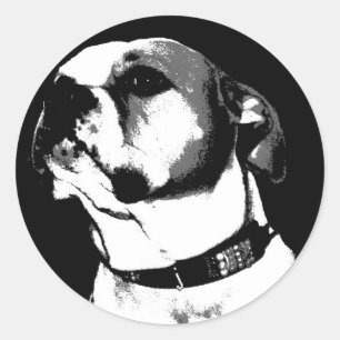 Autocollant américain de bouledogue