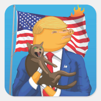 Autocollant américain de carré de catastrophe