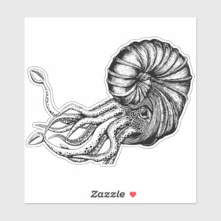 Autocollant ammonite
