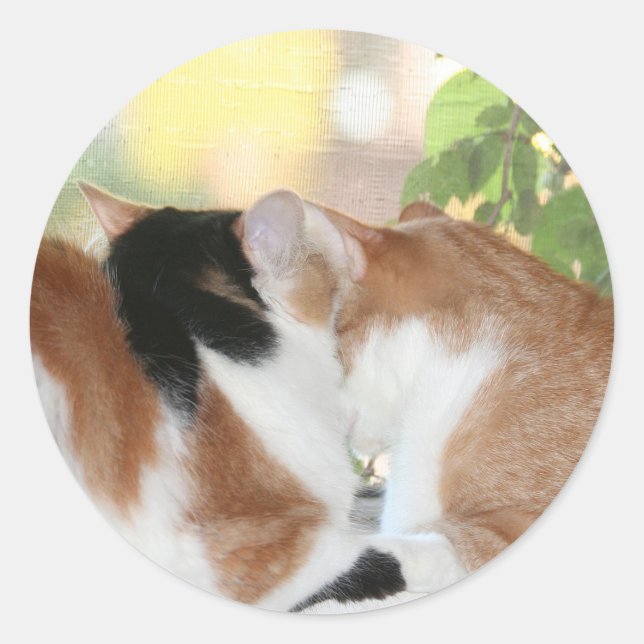 Autocollant amour Kitty (Devant)