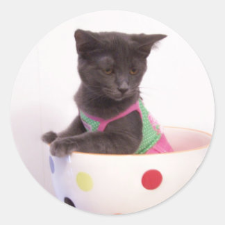 autocollant arys kitten