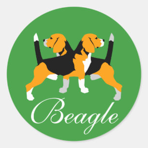 Autocollant Beagle