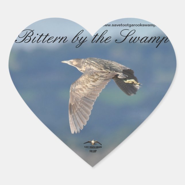 Autocollant Bittern Australasien (Devant)