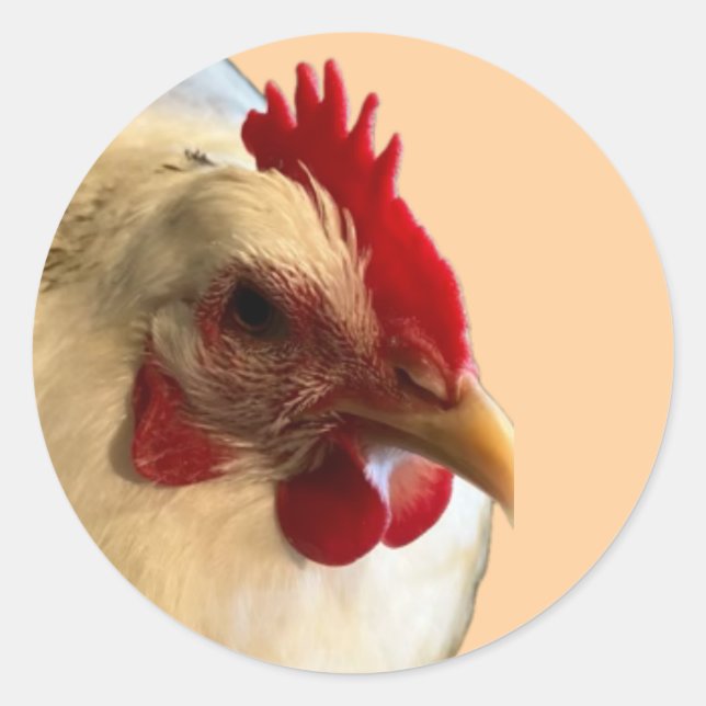 Autocollant blanc Australorp Hen (Devant)